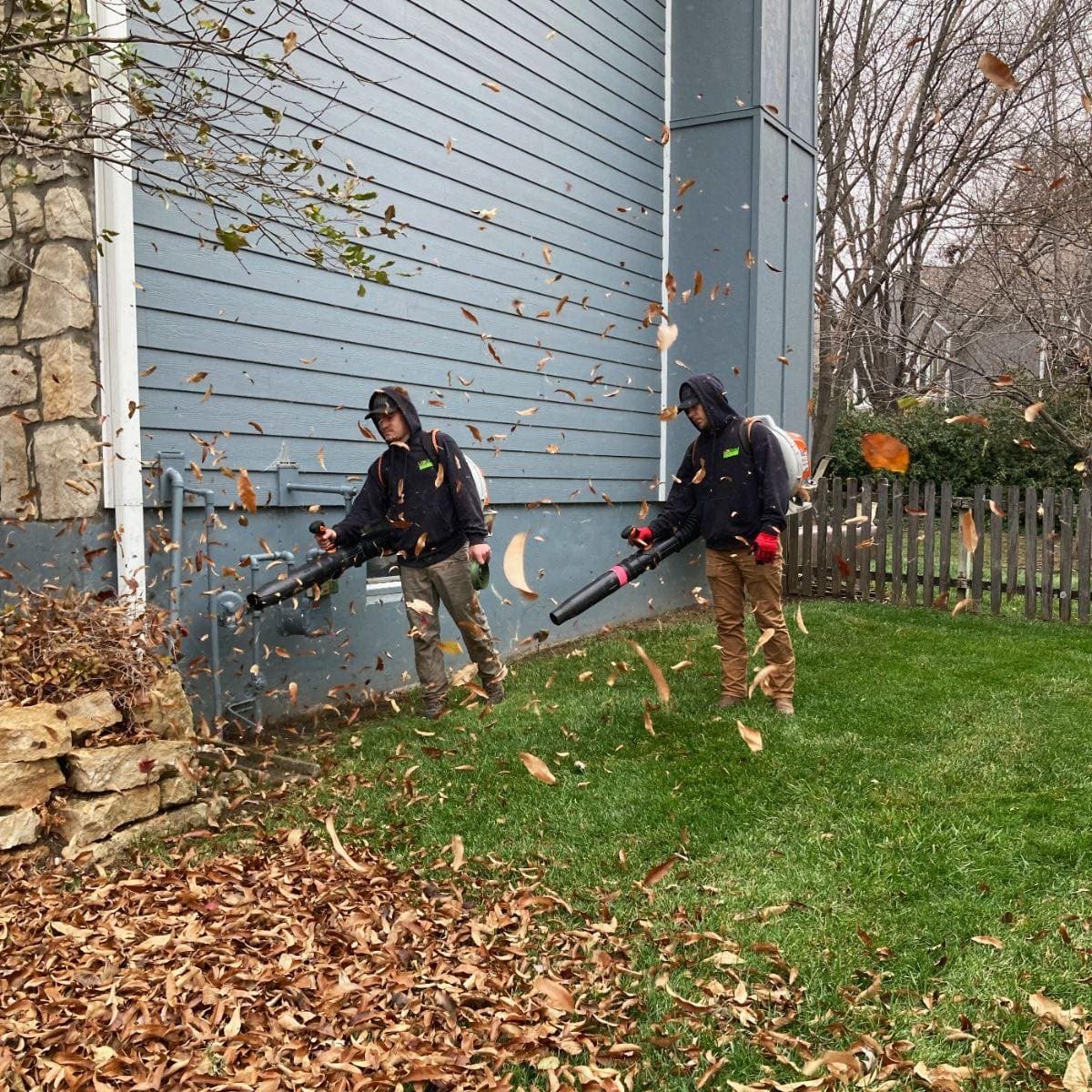 Tree & Clean-Up Services